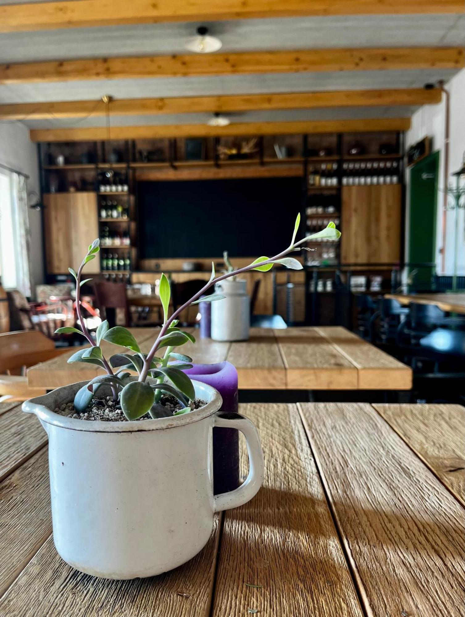 Penzion A Bistro Stary Kopec Znojmo Exterior foto